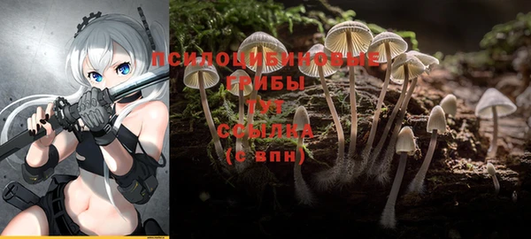 амф Абаза