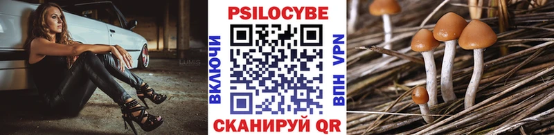Галлюциногенные грибы прущие грибы  OMG зеркало  Новочебоксарск 