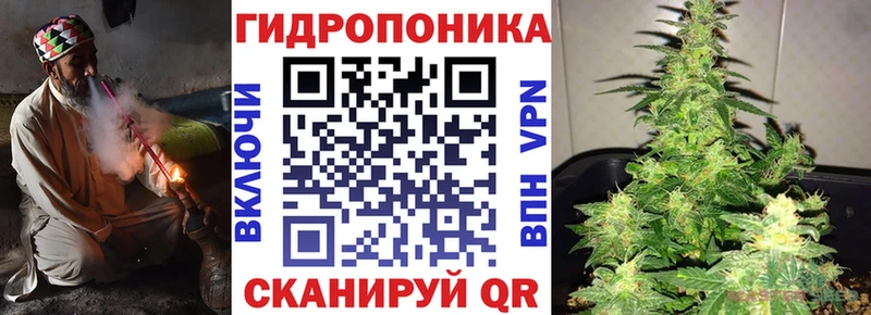 Конопля план  МЕГА ТОР  Новочебоксарск  как найти наркотики 